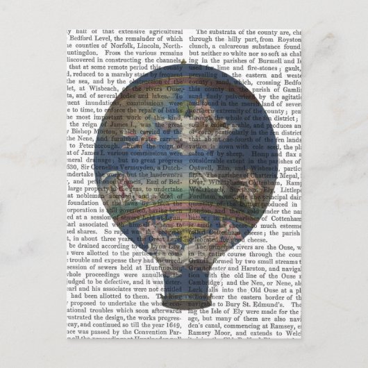 Machine Aerostatique Hot Air Ballon Briefkaart (Voorkant)