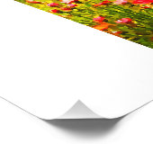 machinepaard foto afdruk (Hoek)