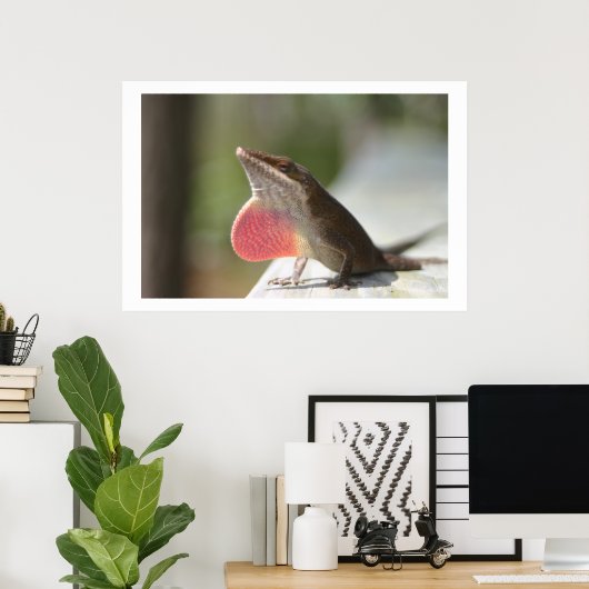 Macho Anole Poster (Thuiskantoor)