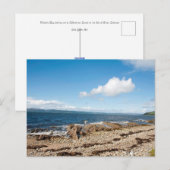 Machrie Bay Kaart (Voorkant / Achterkant)