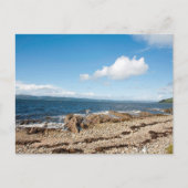 Machrie Bay Kaart (Voorkant)