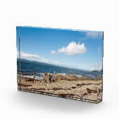 Machrie Bay Kaart Fotoblokken (Rechts)