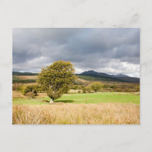 Machrie Moor Briefkaart
