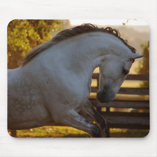 Macht van een Andalusische merrie Muismat (Voorkant)