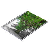 machtige boom notitieboek (Linkerzijde)