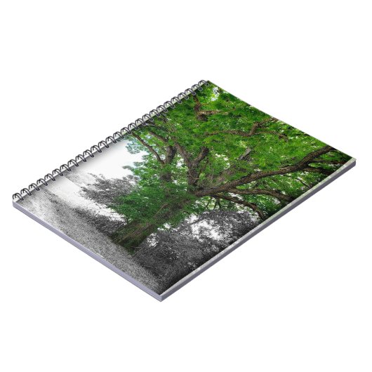 machtige boom notitieboek (Linkerzijde)