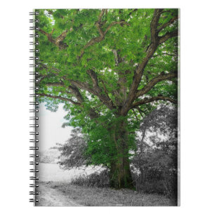 machtige boom notitieboek