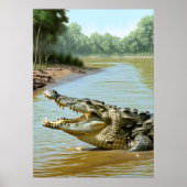 Machtige krokodil in de rivier poster (Voorkant)