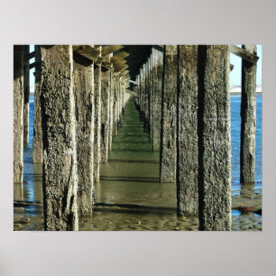 machtsbrug duxbury ma. poster