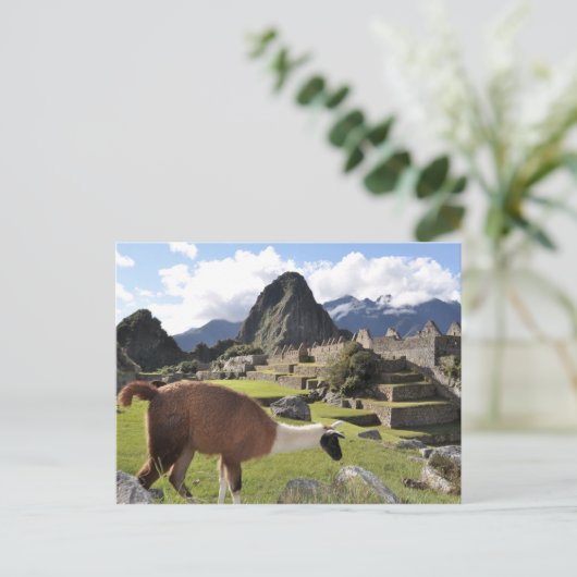 Machu Picchu Briefkaart (Staand voorkant)