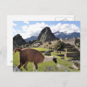 Machu Picchu Briefkaart (Voorkant / Achterkant)
