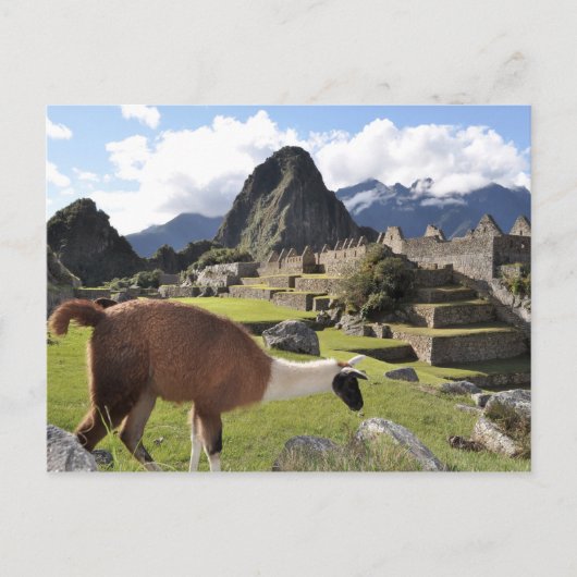 Machu Picchu Briefkaart (Voorkant)
