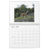 Machu Picchu & Cuzco, Peru 2014 Calendar Kalender (Mar 2027)