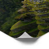 Machu Picchu Overlook Poster (Hoek)