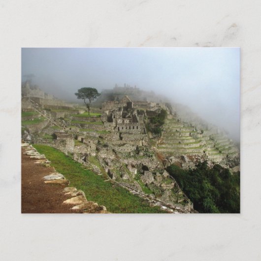Machu Picchu, Peru Briefkaart (Voorkant)