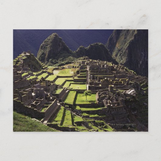 Machu Picchu, Peru Briefkaart (Voorkant)