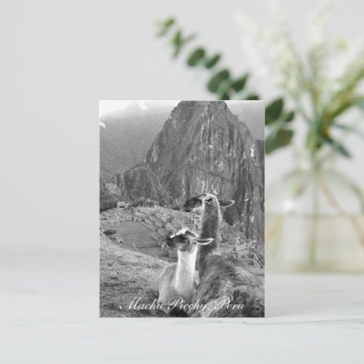 Machu Picchu Peru Briefkaart (Staand voorkant)