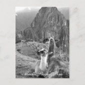 Machu Picchu Peru Briefkaart (Voorkant)