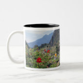 Machu Picchu, Peru Tweekleurige Koffiemok (Links)
