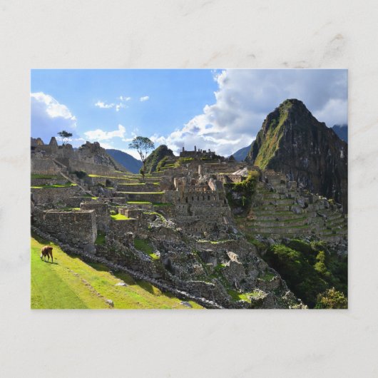 Machu Picchu, Peru, vanmiddag Briefkaart (Voorkant)