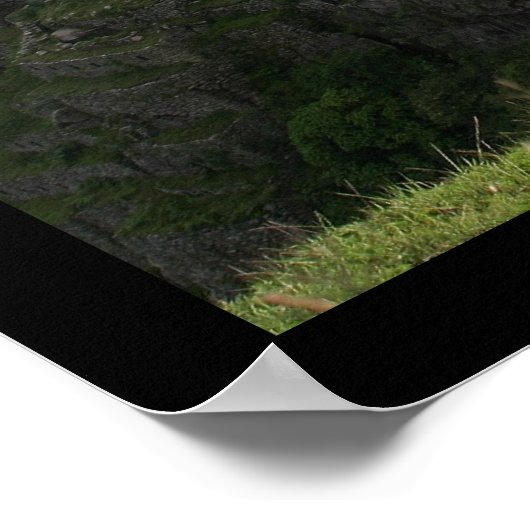 Machu Picchu Poster (Hoek)