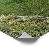 Machu Picchu Poster (Hoek)