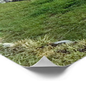 Machu Picchu Poster (Hoek)