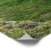 Machu Picchu Poster (Hoek)