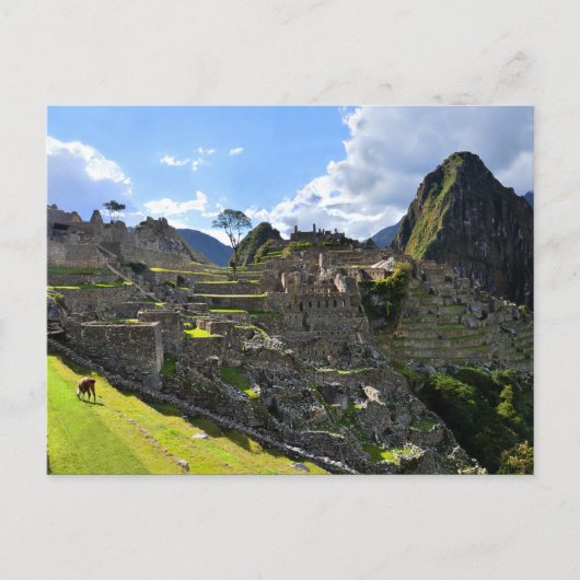 Machu Picchu vanmiddag, Peru Briefkaart (Voorkant)