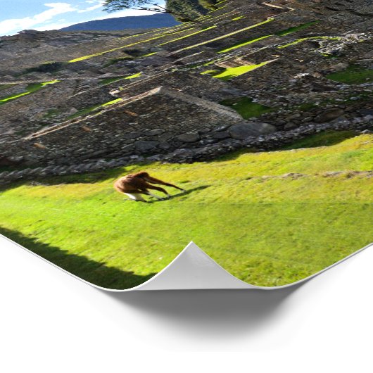 Machu Picchu vanmiddag Poster (Hoek)