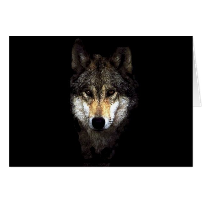 machwolf (Voorkant Horizontaal)