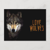 machwolf briefkaart (Voorkant)