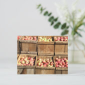 Macintosh past door de krat toe briefkaart (Staand voorkant)