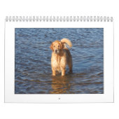 Mack Calendar 2009 Kalender (Hoes)