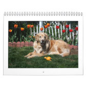Mack en Friends 2011 Kalender (Hoes)