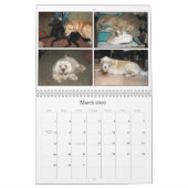 Mack en Friends 2011 Kalender (Mar 2026)