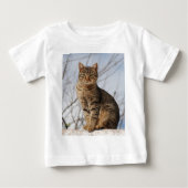 Mackerel Tabby Cat (Voorkant)