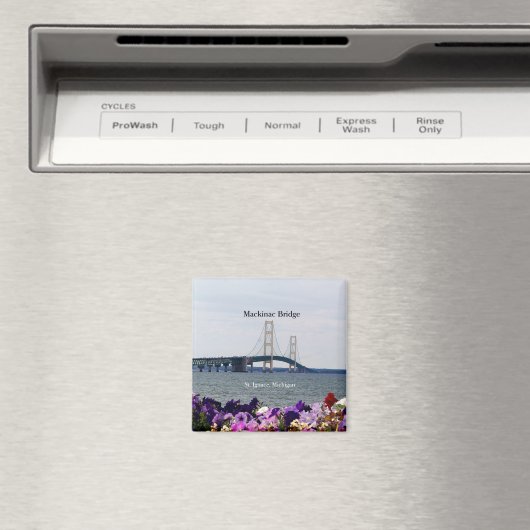 Mackinac Bridge St. Ignace spring magnet (Insitu (Vaatwasser))