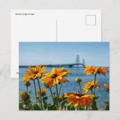 Mackinac Bridge Zwarte Ogen Briefkaart (Voorkant / Achterkant)