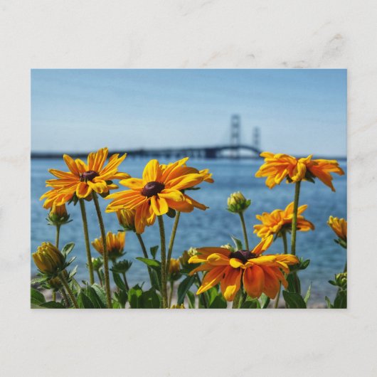 Mackinac Bridge Zwarte Ogen Briefkaart (Voorkant)