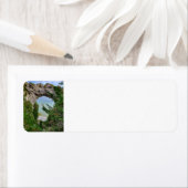 Mackinac Island Arch Rock Etiket (Insitu)