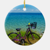 Mackinac Island Bike Circle Ornament (Achterkant)