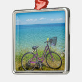 Mackinac Island Bike Metalen Ornament (Links)