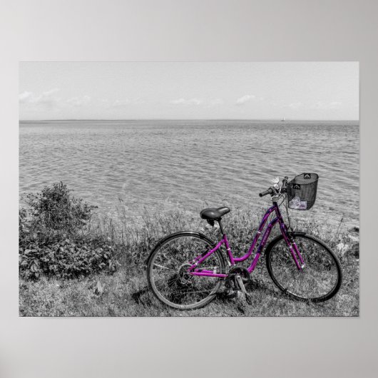 Mackinac Island fiets selectieve kleur Poster (Voorkant)