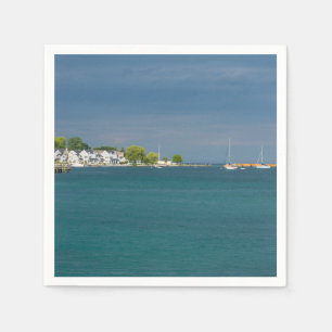 Mackinac Island Harbour Servetten