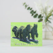 Mackinac Island Michigan Briefkaart (Staand voorkant)