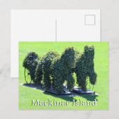 Mackinac Island Michigan Briefkaart (Voorkant / Achterkant)