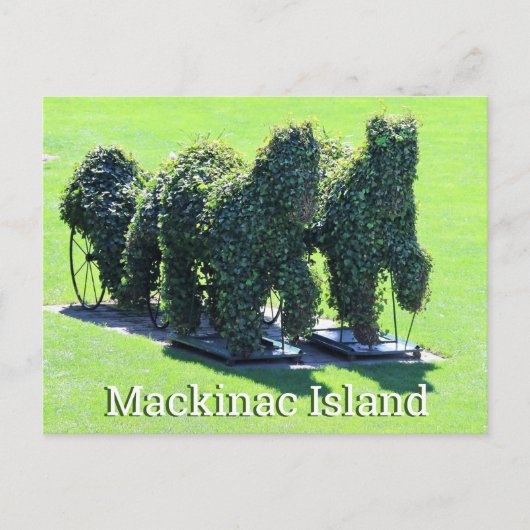 Mackinac Island Michigan Briefkaart (Voorkant)