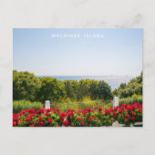Mackinac Island Michigan Briefkaart (Voorkant)