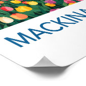 Mackinac Island Michigan Reisposter Poster (Hoek)